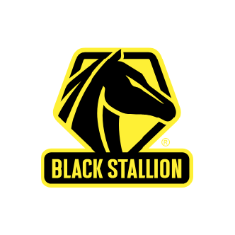 Black Stallion